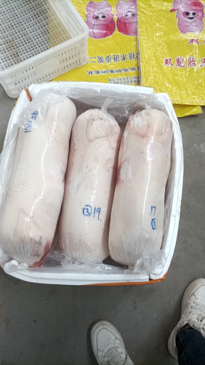 陈记小乳猪批发欢迎选购，广西陆川花都广西土白4/50