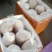 陈记小乳猪批发欢迎选购，广西陆川花都广西土白4/50