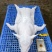 陈记小乳猪批发欢迎选购，广西陆川花都广西土白4/50