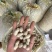 金堂县花生机洗红米花生新鲜花生供应生鲜超市货源稳定
