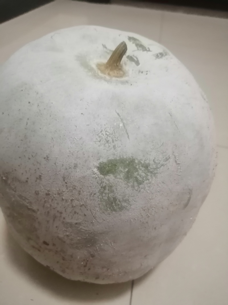 现有水果冬瓜2万斤有想要的联系***********
