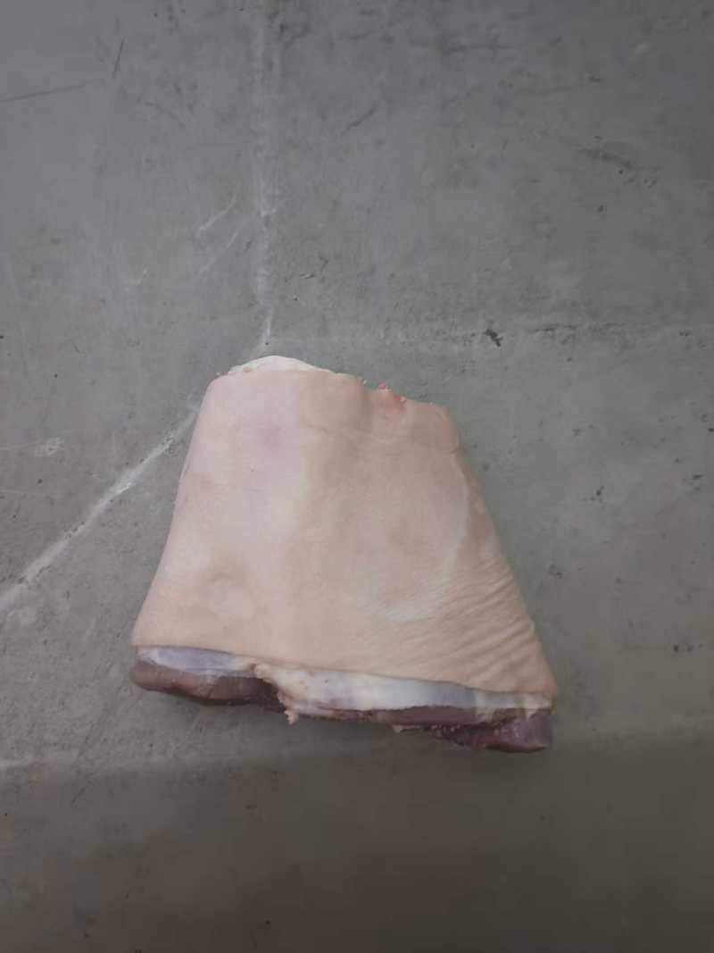 小肘子