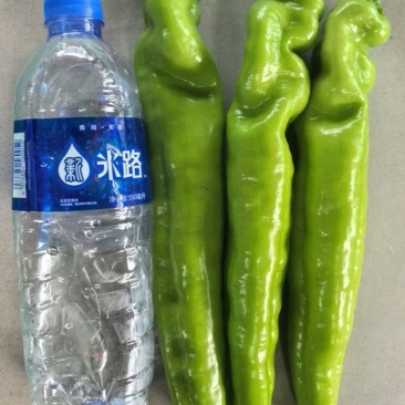 头茬大尖椒品质好价格便宜就1元钱谁要速度联系，赚钱