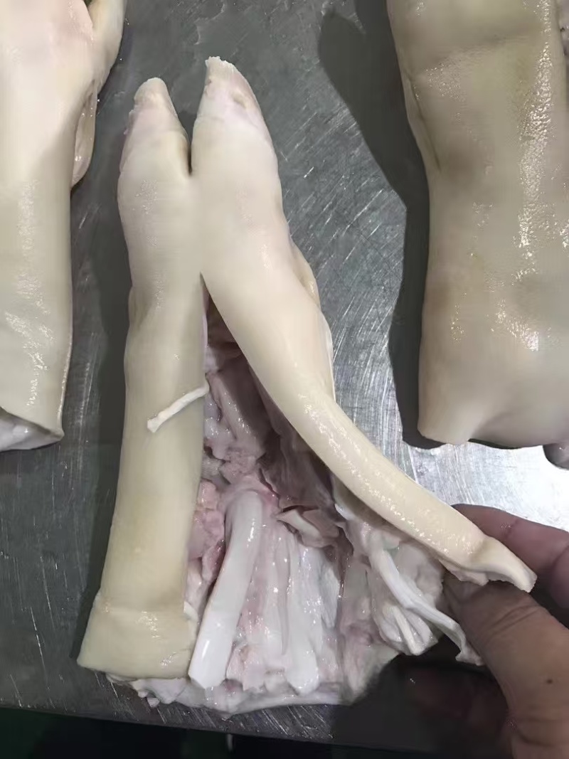 猪蹄