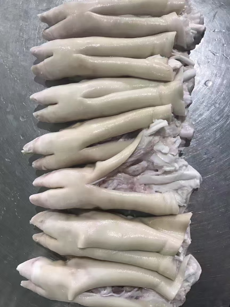 猪蹄