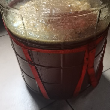 土蜂蜜