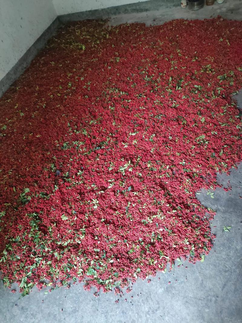 大红袍花椒