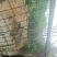泗阳菜鹅