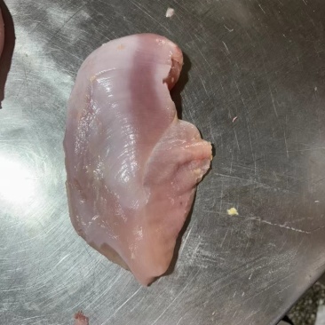 种鸡老母鸡大胸单冻板冻规格齐全