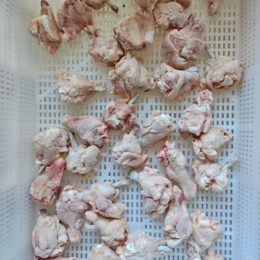 露骨鸡翅根