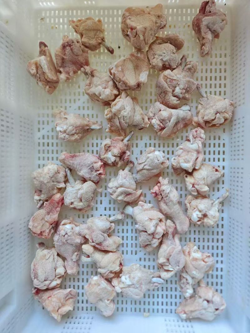 露骨鸡翅根