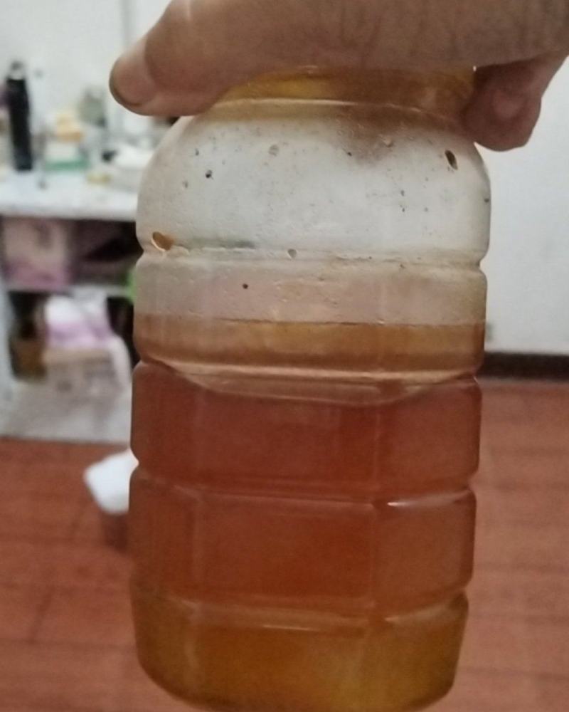 大山里纯蜂蜜