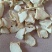 鲜黄精干片