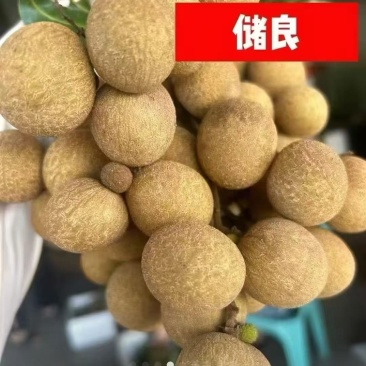 高州储良龙眼
