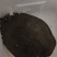 甲鱼