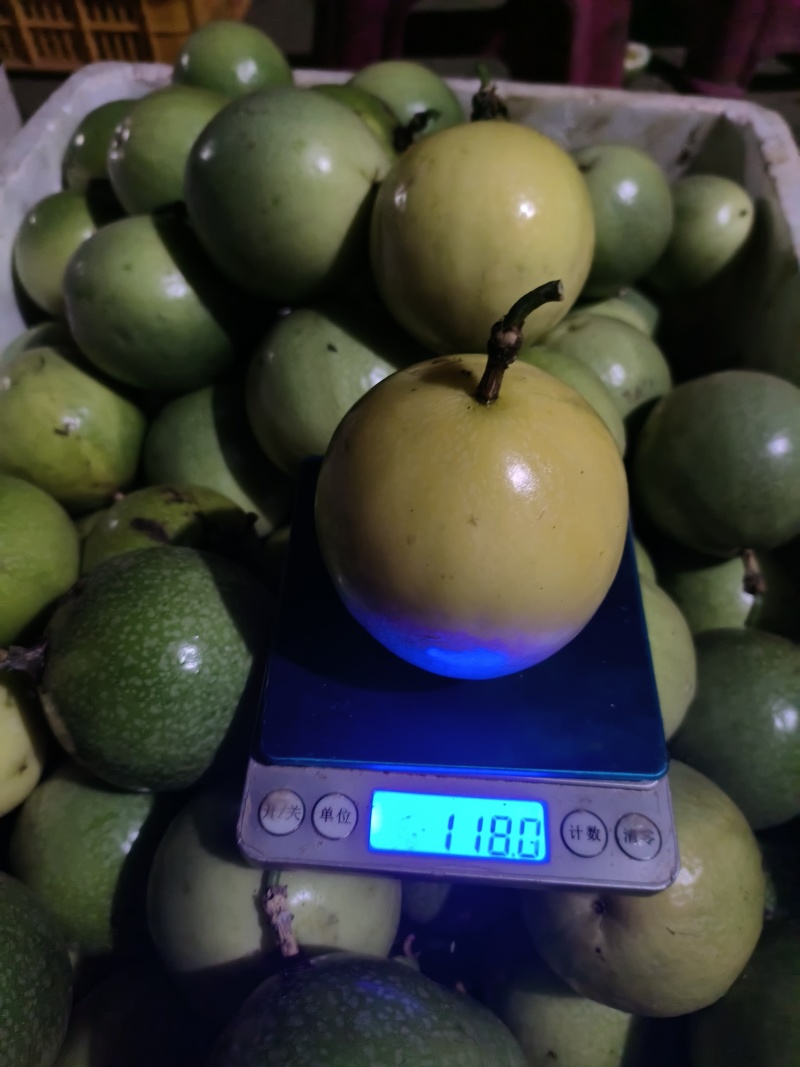 金平钦密9号百香果