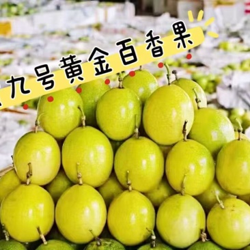 武平黄金百香果