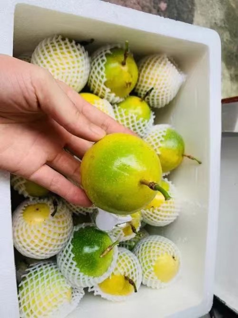 大量新鲜百香果待售按需称重