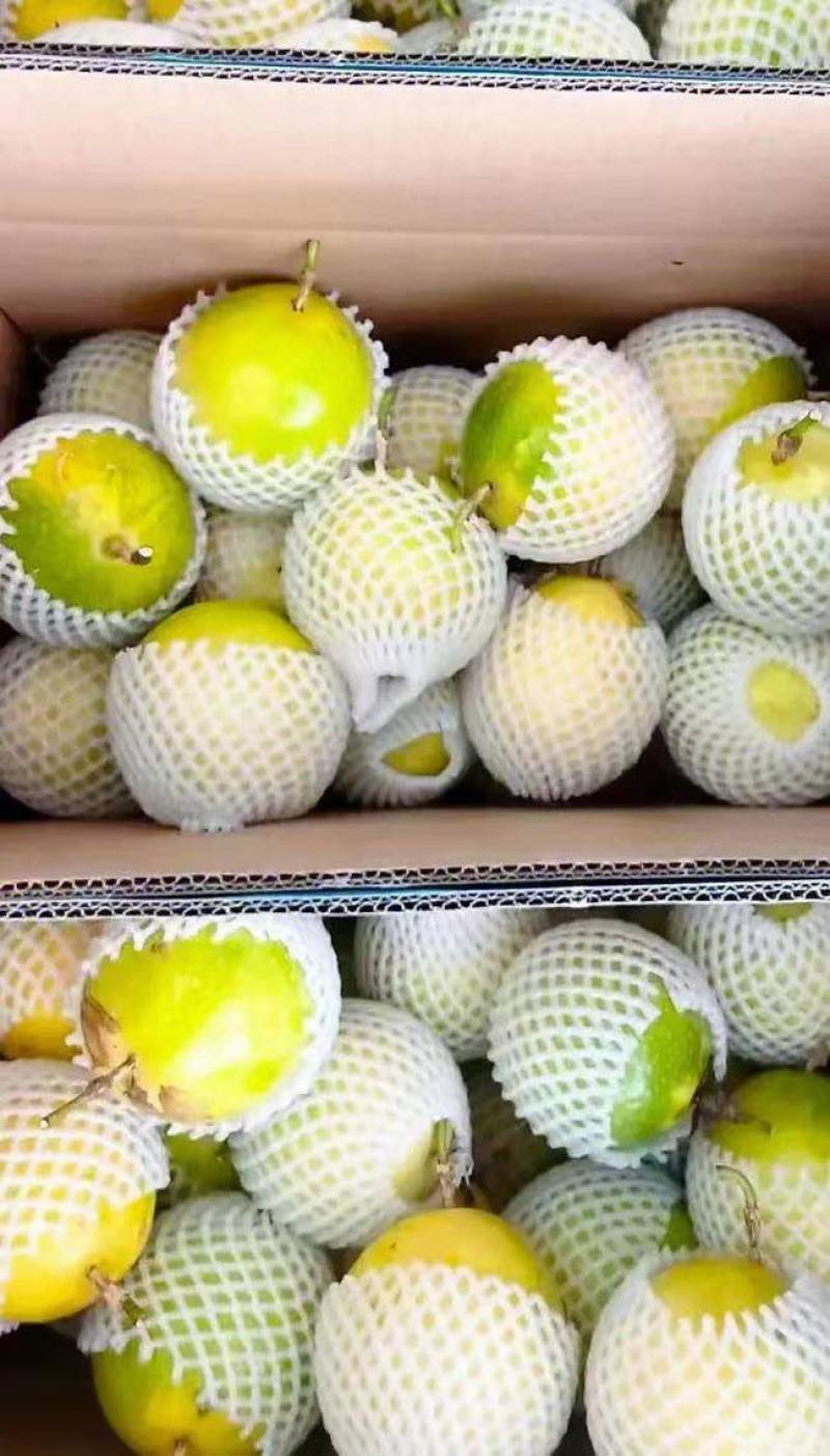 大量新鲜百香果待售按需称重