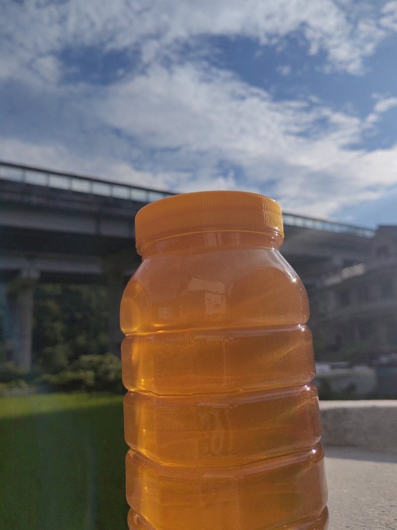 农家土蜂蜜