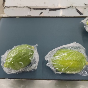 香水柠檬基地