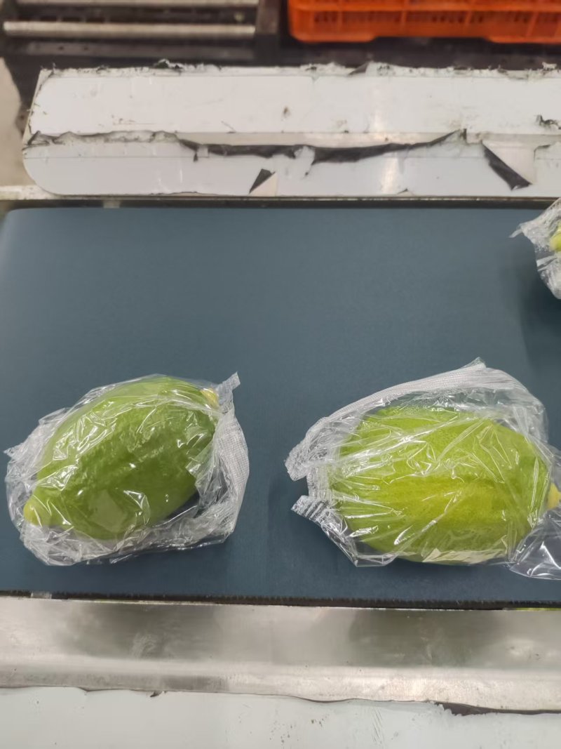 香水柠檬基地