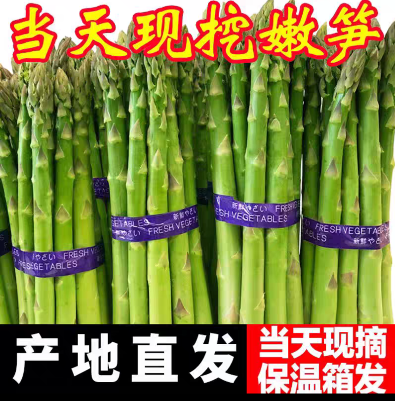 一手货源地里现摘芦笋
