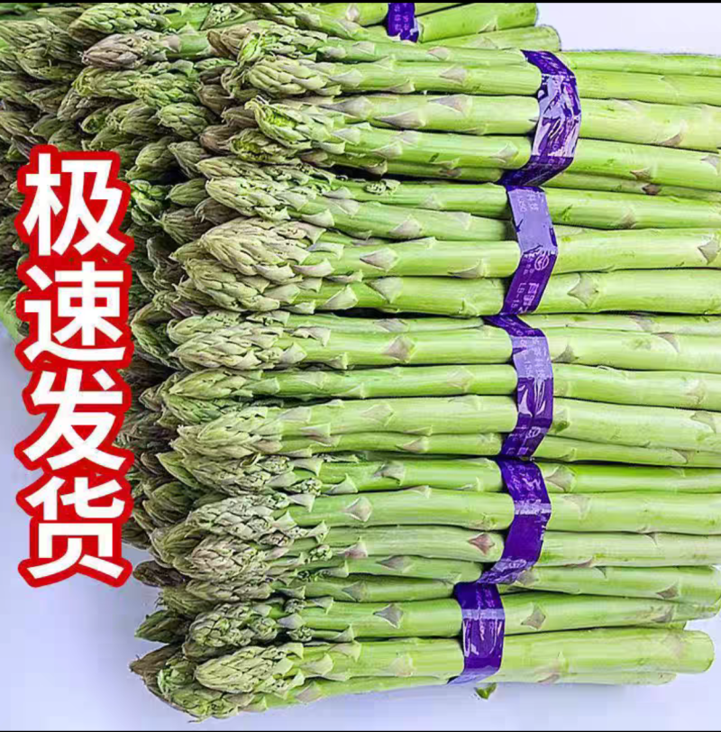 一手货源地里现摘芦笋