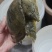 自抓现货不多老板抓紧下单