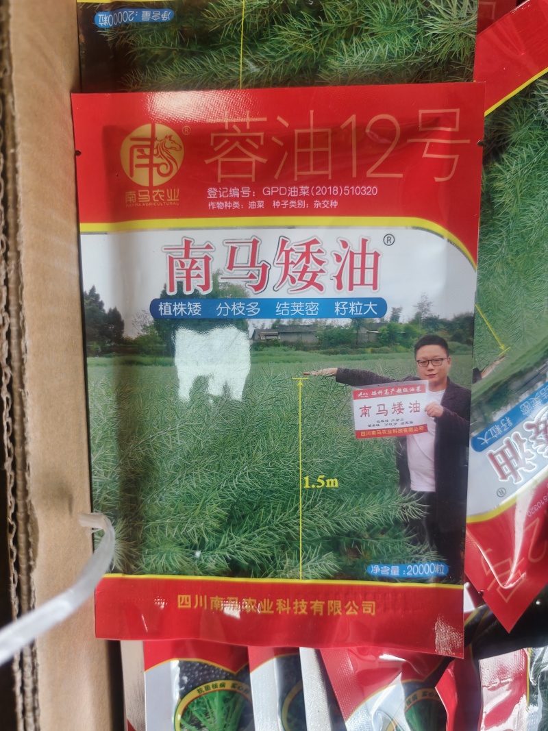 南马矮油菜种子