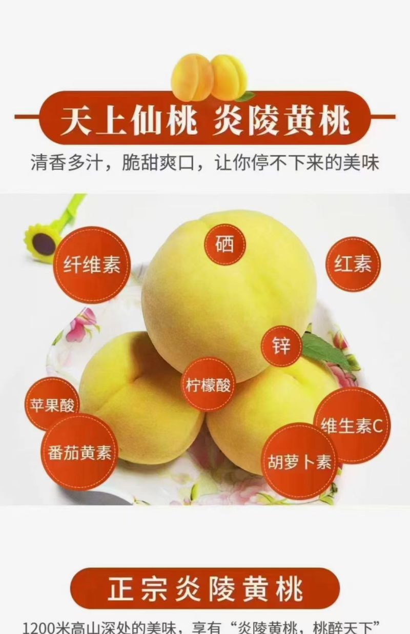 株洲市炎陵县炎陵黄桃🍑