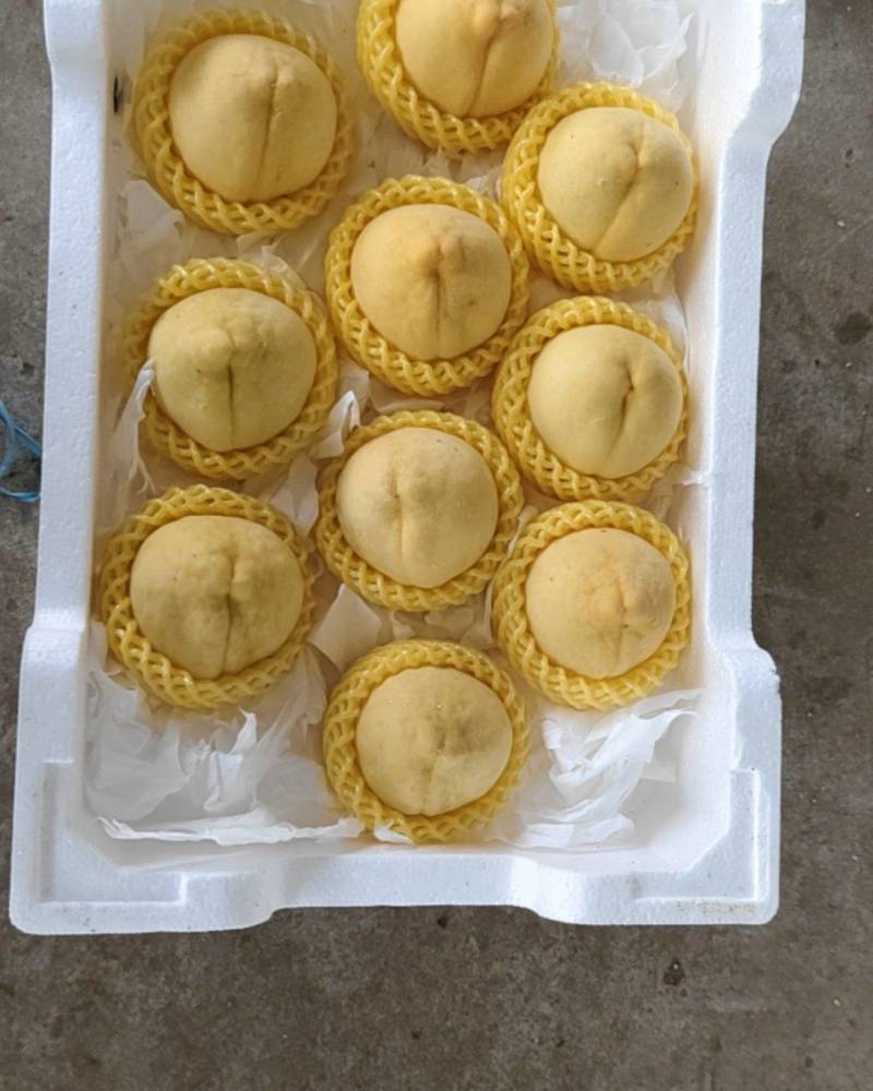 锦绣黄桃
