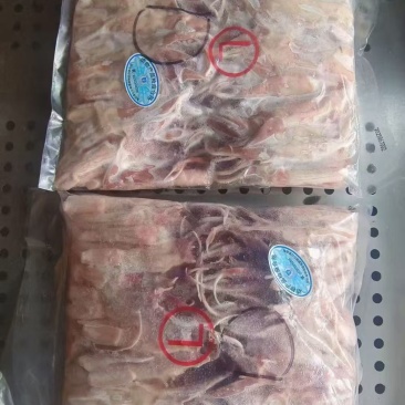二级大鸭舌