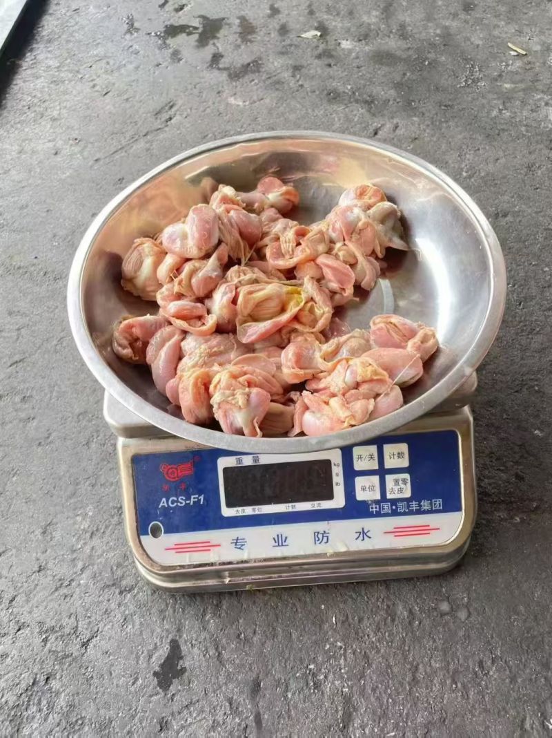 存货大日期817带肚鸡胗，价格优惠，质量有保障。