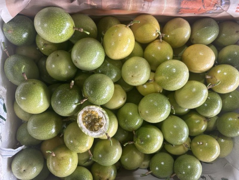广西桂林黄金百香果大量现货