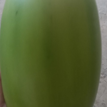 茄子