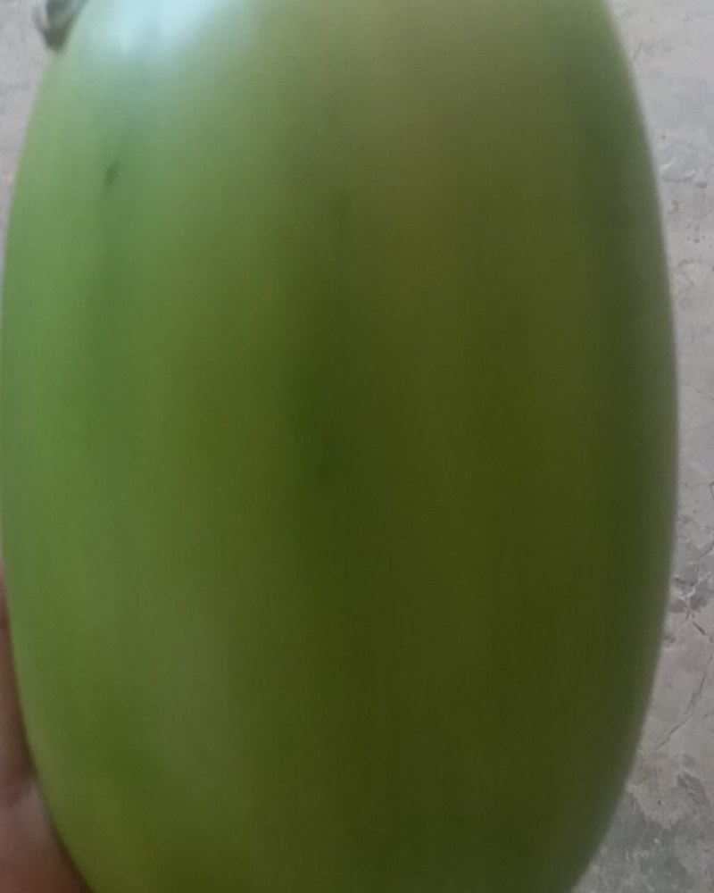茄子