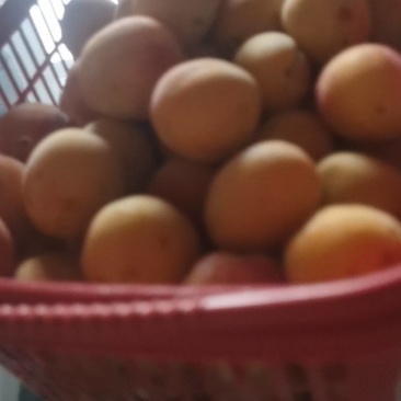 黄金西梅