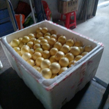 黄金百香果
