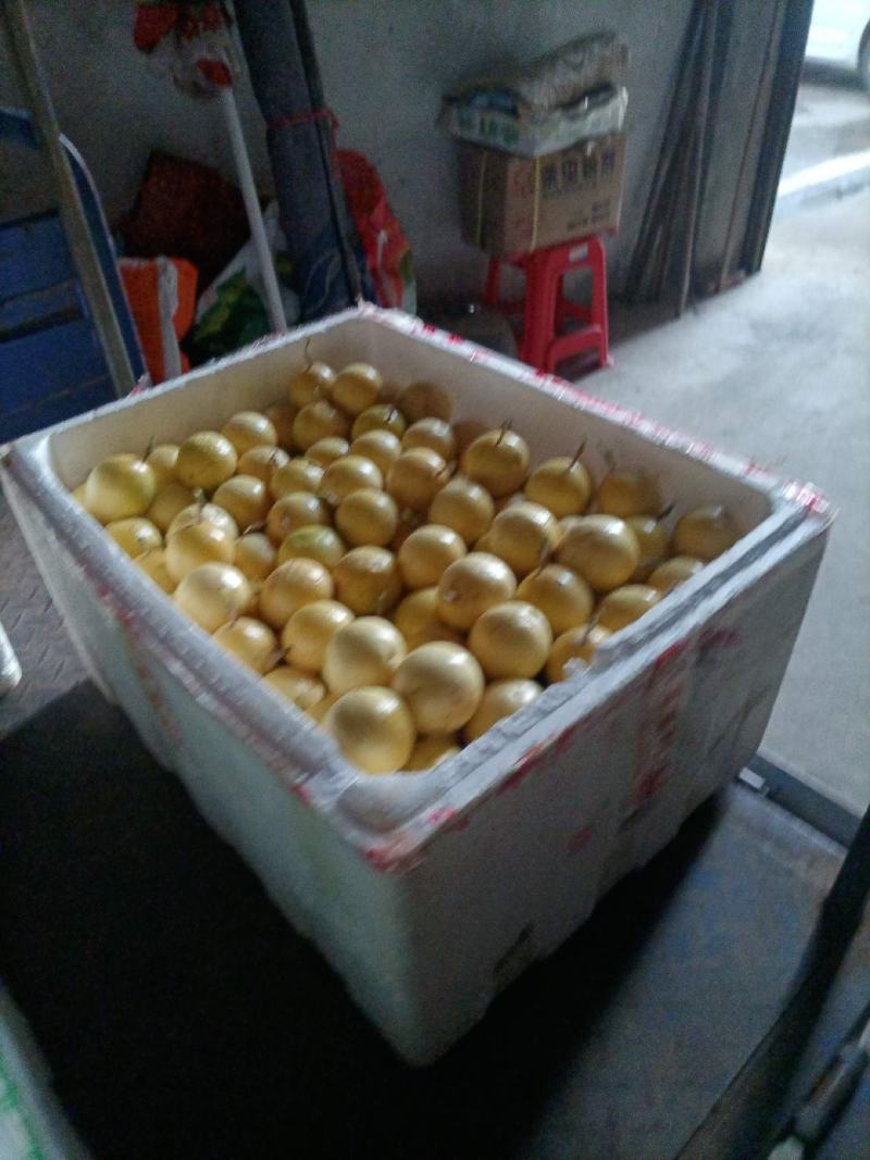 黄金百香果
