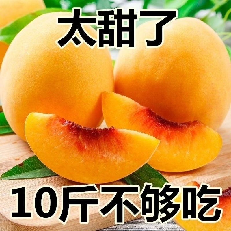 重庆奉节高山黄桃