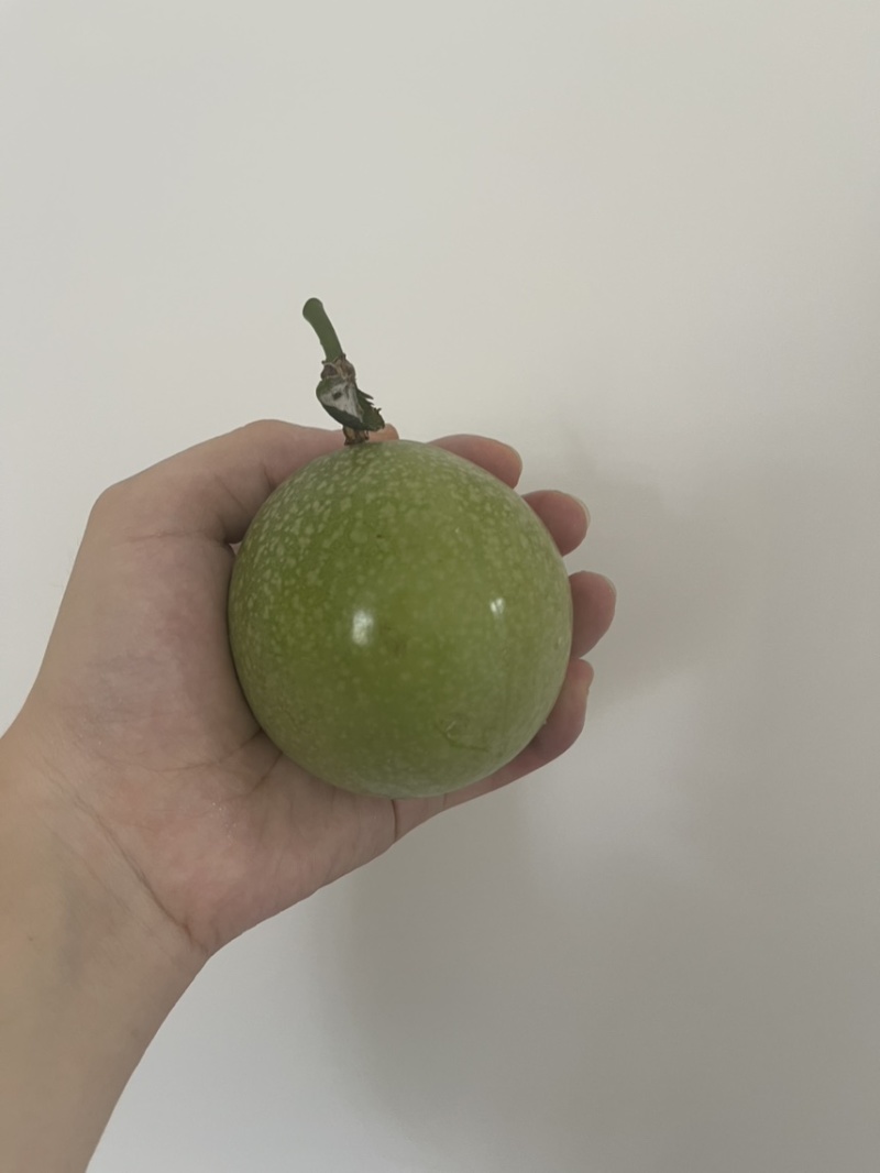 百香果