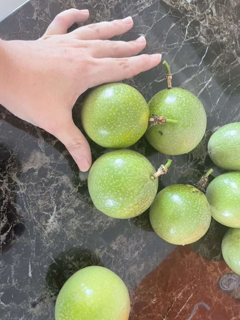 百香果