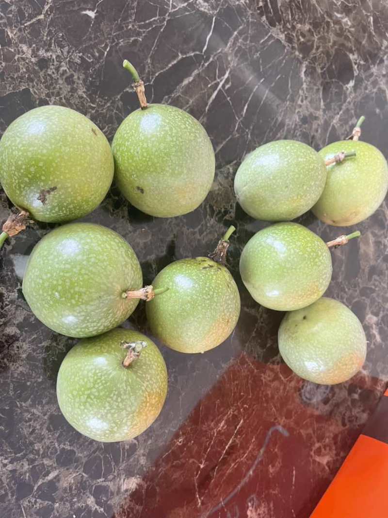 百香果