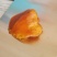 鸡宝