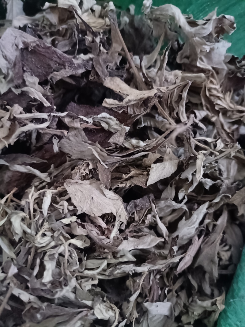 艾草