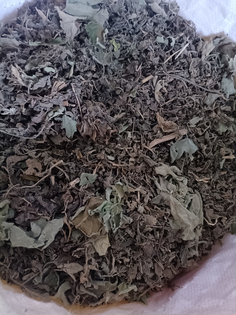 艾草