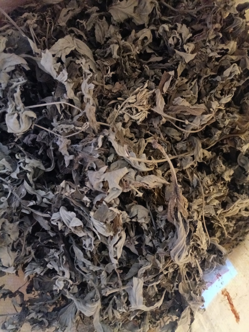 艾草