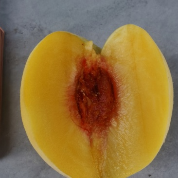 锦绣黄桃