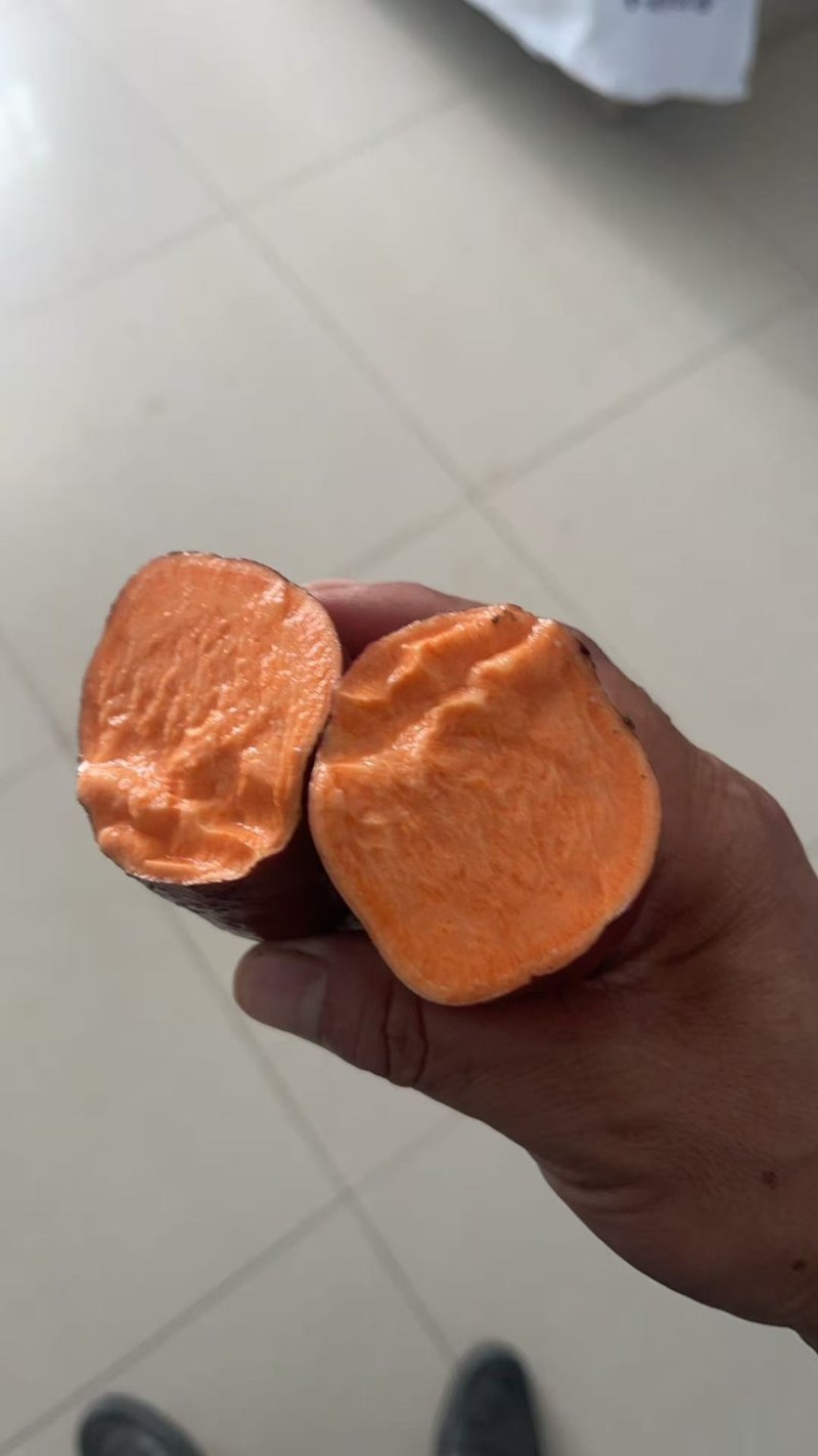 西瓜红